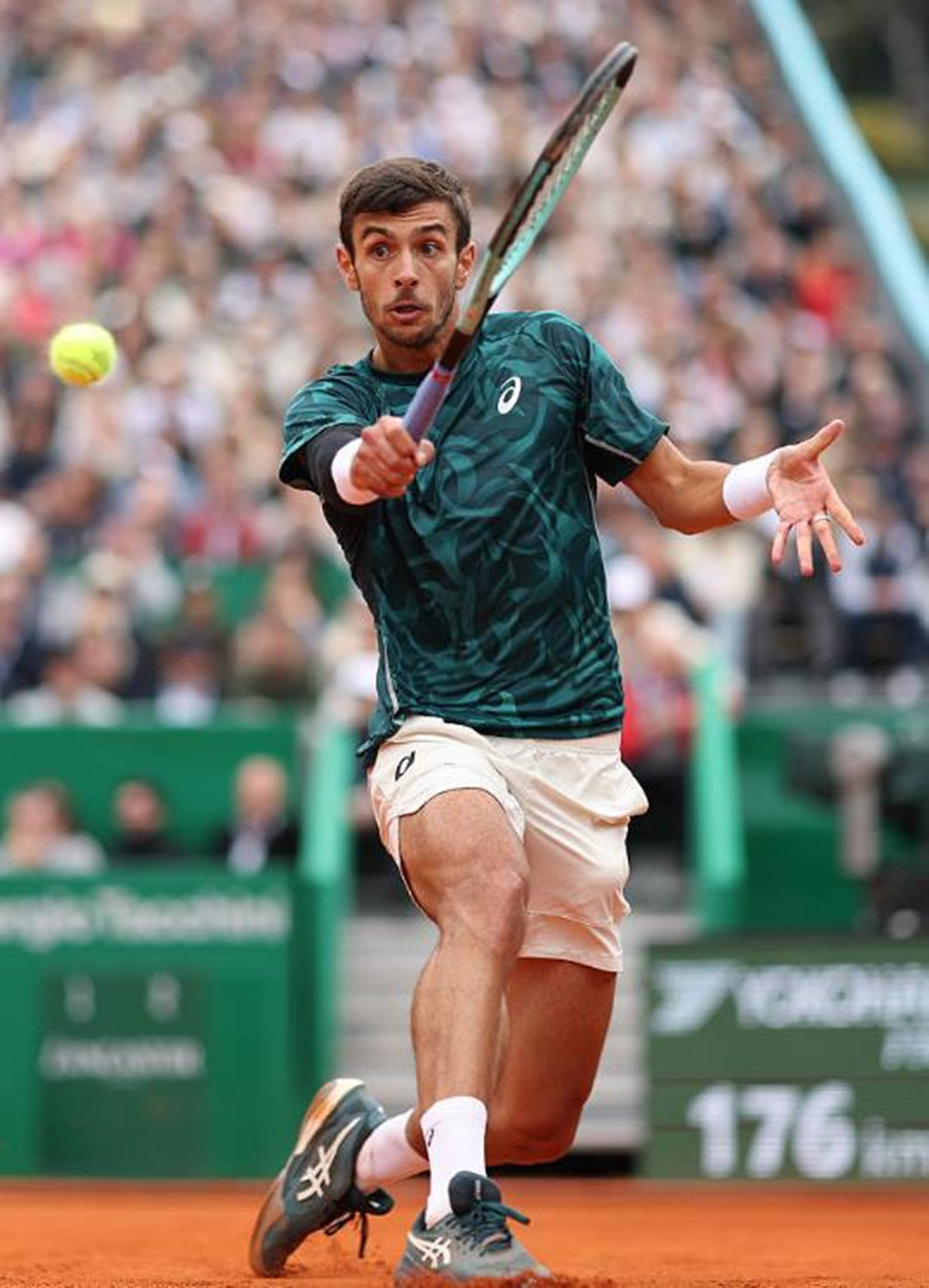 应能力和战 应能力和战