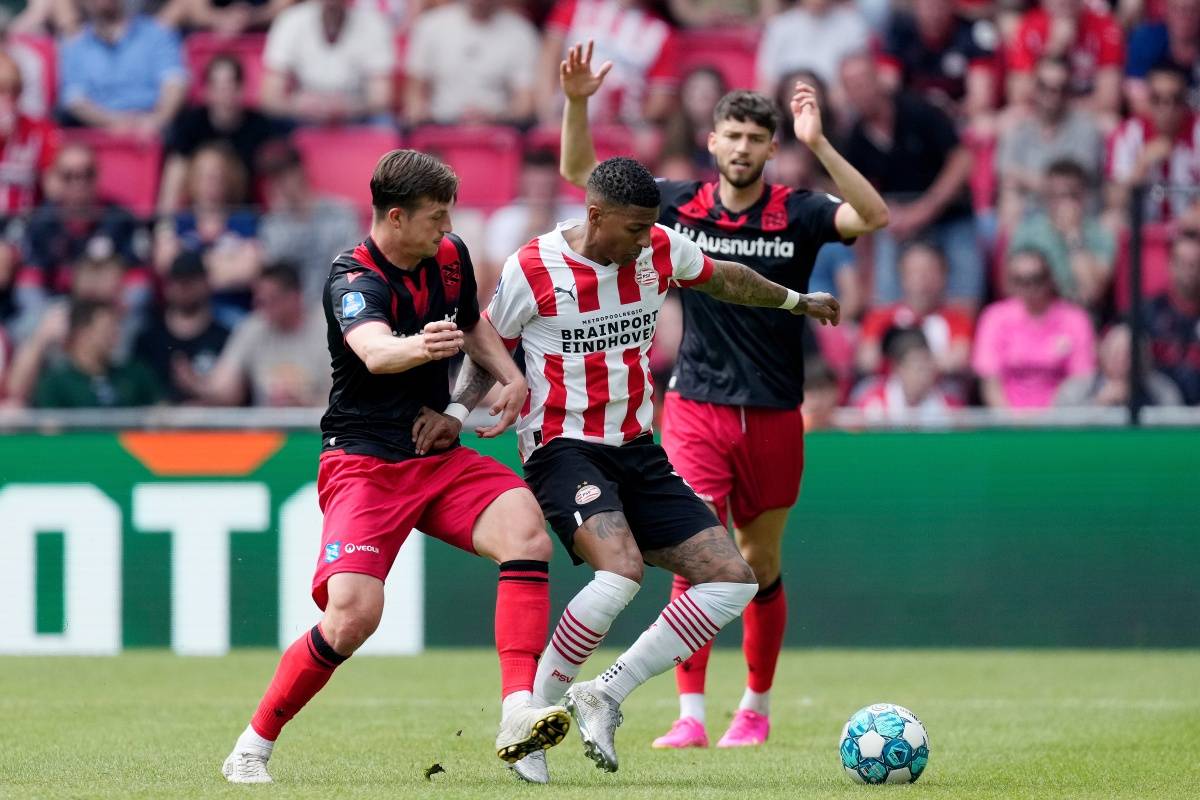 效率优势将 效率优势将